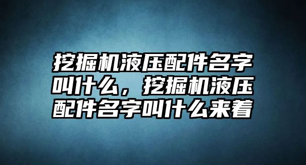 挖掘機(jī)液壓配件名字叫什么，挖掘機(jī)液壓配件名字叫什么來(lái)著