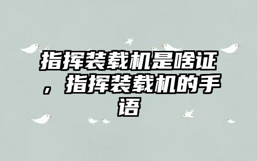 指揮裝載機(jī)是啥證，指揮裝載機(jī)的手語(yǔ)