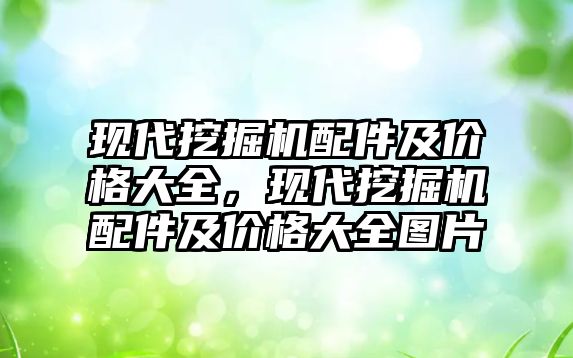 現(xiàn)代挖掘機配件及價格大全，現(xiàn)代挖掘機配件及價格大全圖片