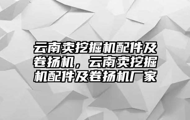 云南賣挖掘機配件及卷揚機，云南賣挖掘機配件及卷揚機廠家