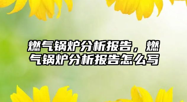 燃?xì)忮仩t分析報(bào)告，燃?xì)忮仩t分析報(bào)告怎么寫(xiě)