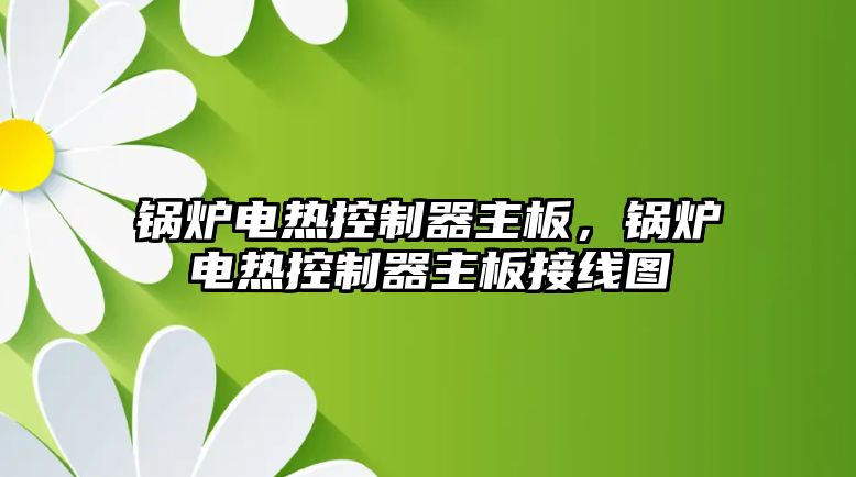 鍋爐電熱控制器主板，鍋爐電熱控制器主板接線圖