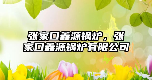 張家口鑫源鍋爐，張家口鑫源鍋爐有限公司