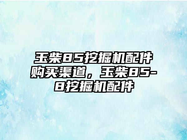 玉柴85挖掘機(jī)配件購買渠道，玉柴85-8挖掘機(jī)配件