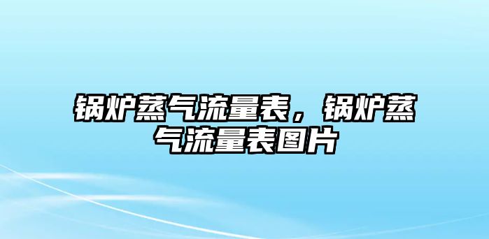 鍋爐蒸氣流量表，鍋爐蒸氣流量表圖片