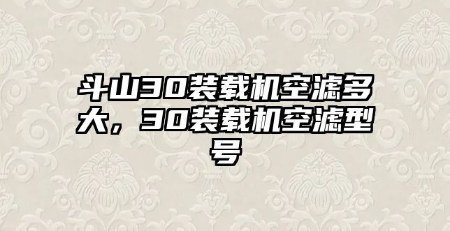 斗山30裝載機空濾多大，30裝載機空濾型號