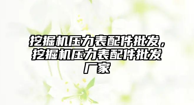 挖掘機壓力表配件批發(fā)，挖掘機壓力表配件批發(fā)廠家