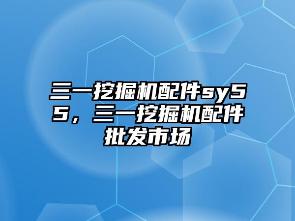 三一挖掘機(jī)配件sy55，三一挖掘機(jī)配件批發(fā)市場