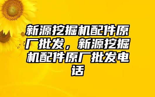 新源挖掘機配件原廠批發(fā)，新源挖掘機配件原廠批發(fā)電話