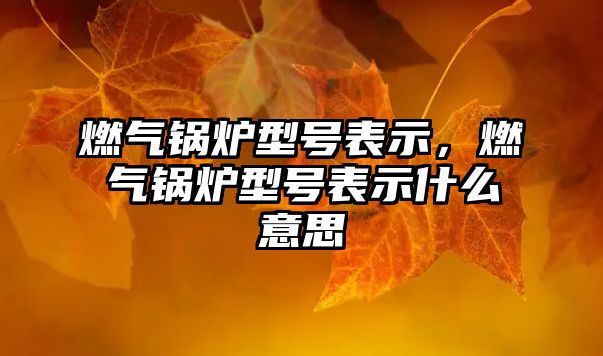 燃?xì)忮仩t型號(hào)表示，燃?xì)忮仩t型號(hào)表示什么意思