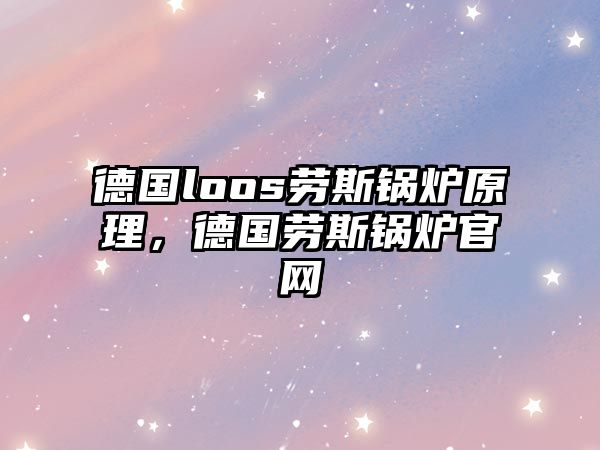 德國loos勞斯鍋爐原理，德國勞斯鍋爐官網(wǎng)