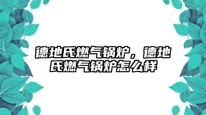 德地氏燃?xì)忮仩t，德地氏燃?xì)忮仩t怎么樣