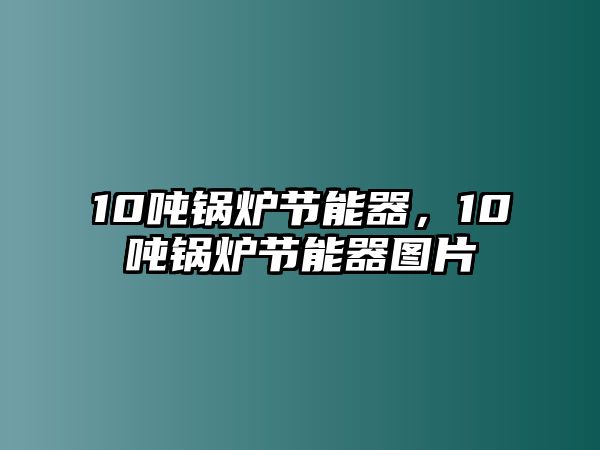 10噸鍋爐節(jié)能器，10噸鍋爐節(jié)能器圖片