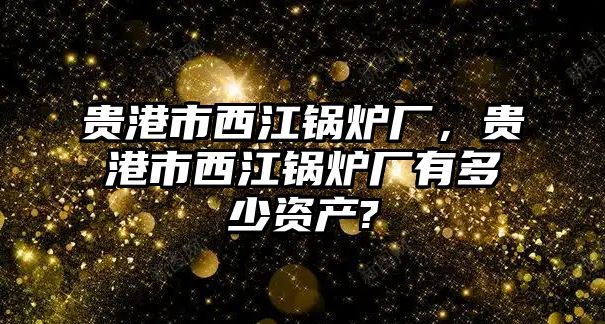 貴港市西江鍋爐廠，貴港市西江鍋爐廠有多少資產(chǎn)?