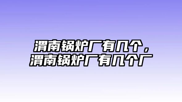 渭南鍋爐廠有幾個(gè)，渭南鍋爐廠有幾個(gè)廠