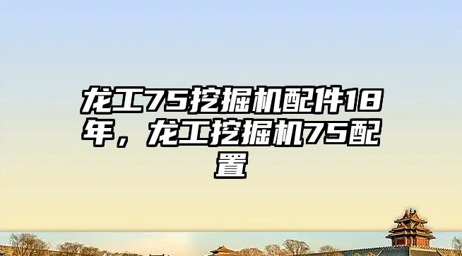 龍工75挖掘機(jī)配件18年，龍工挖掘機(jī)75配置