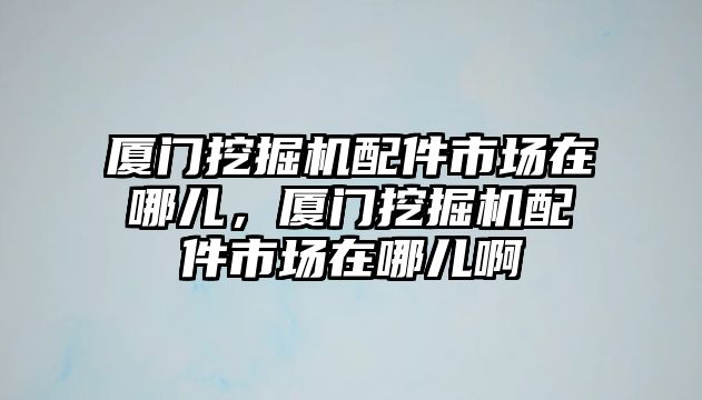 廈門挖掘機(jī)配件市場在哪兒，廈門挖掘機(jī)配件市場在哪兒啊