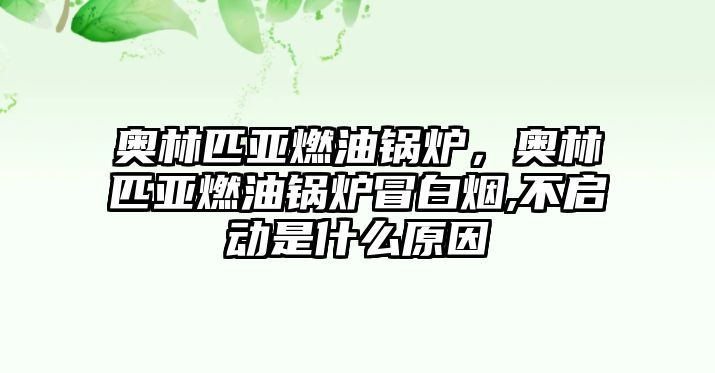 奧林匹亞燃油鍋爐，奧林匹亞燃油鍋爐冒白煙,不啟動(dòng)是什么原因