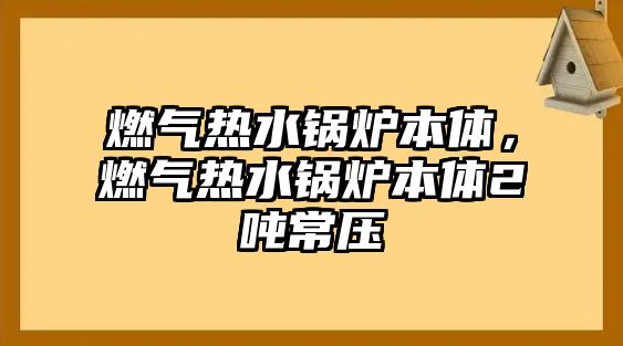 燃?xì)鉄崴仩t本體，燃?xì)鉄崴仩t本體2噸常壓