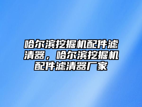 哈爾濱挖掘機配件濾清器，哈爾濱挖掘機配件濾清器廠家