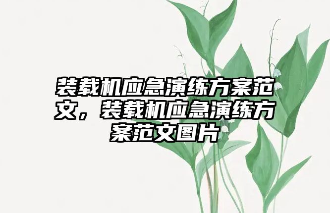 裝載機(jī)應(yīng)急演練方案范文，裝載機(jī)應(yīng)急演練方案范文圖片