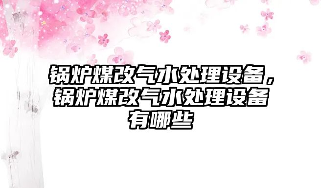 鍋爐煤改氣水處理設(shè)備，鍋爐煤改氣水處理設(shè)備有哪些