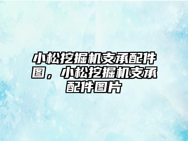 小松挖掘機支承配件圖，小松挖掘機支承配件圖片