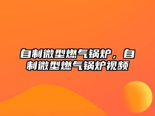 自制微型燃?xì)忮仩t，自制微型燃?xì)忮仩t視頻