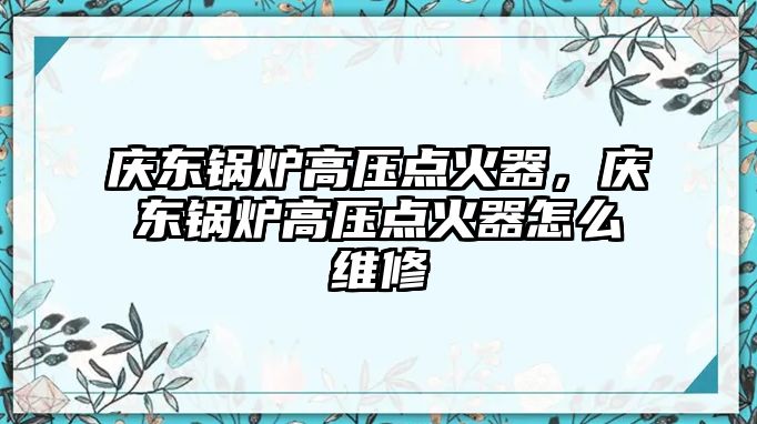 慶東鍋爐高壓點火器，慶東鍋爐高壓點火器怎么維修