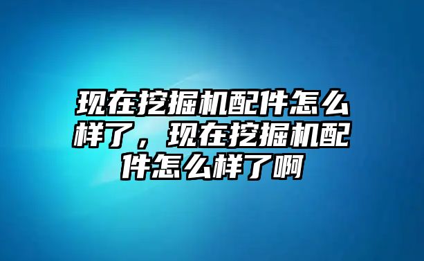 現(xiàn)在挖掘機(jī)配件怎么樣了，現(xiàn)在挖掘機(jī)配件怎么樣了啊