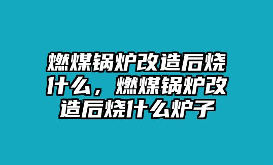 燃煤鍋爐改造后燒什么，燃煤鍋爐改造后燒什么爐子