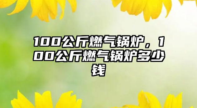 100公斤燃?xì)忮仩t，100公斤燃?xì)忮仩t多少錢