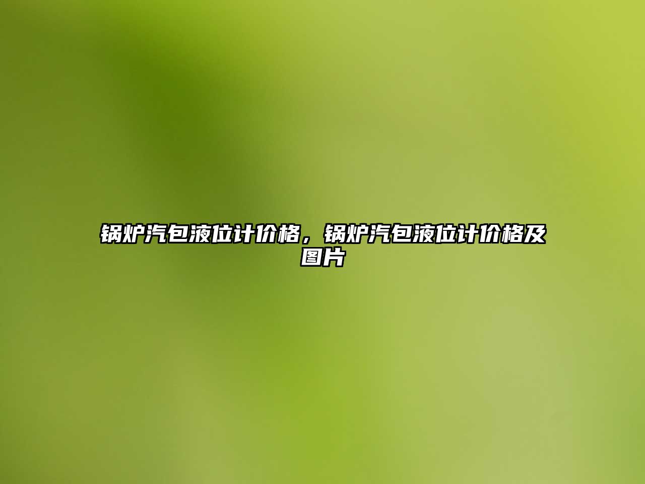 鍋爐汽包液位計(jì)價(jià)格，鍋爐汽包液位計(jì)價(jià)格及圖片