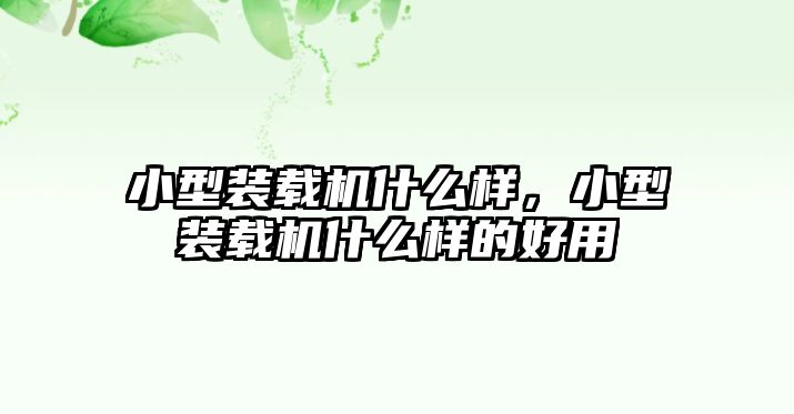 小型裝載機什么樣，小型裝載機什么樣的好用