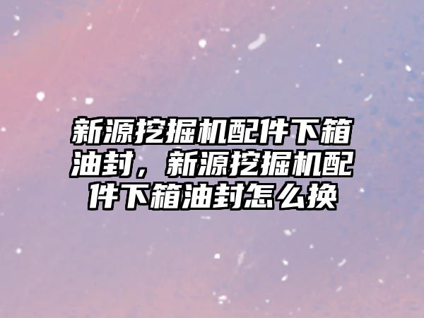 新源挖掘機配件下箱油封，新源挖掘機配件下箱油封怎么換