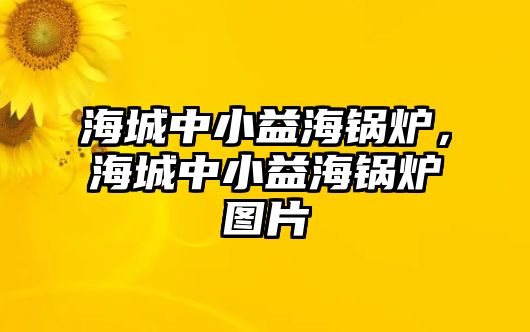 海城中小益海鍋爐，海城中小益海鍋爐圖片