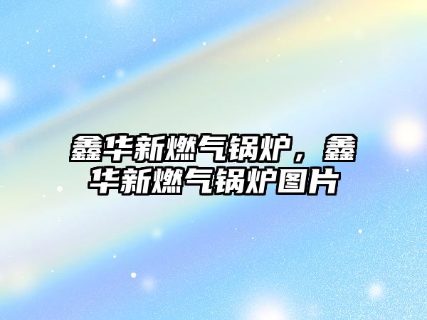 鑫華新燃?xì)忮仩t，鑫華新燃?xì)忮仩t圖片