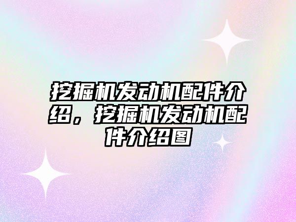 挖掘機發(fā)動機配件介紹，挖掘機發(fā)動機配件介紹圖