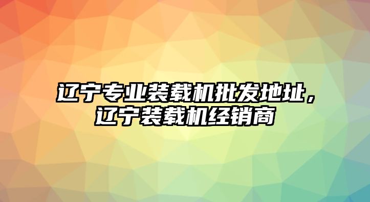 遼寧專業(yè)裝載機(jī)批發(fā)地址，遼寧裝載機(jī)經(jīng)銷商