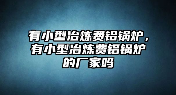 有小型冶煉費鋁鍋爐，有小型冶煉費鋁鍋爐的廠家嗎