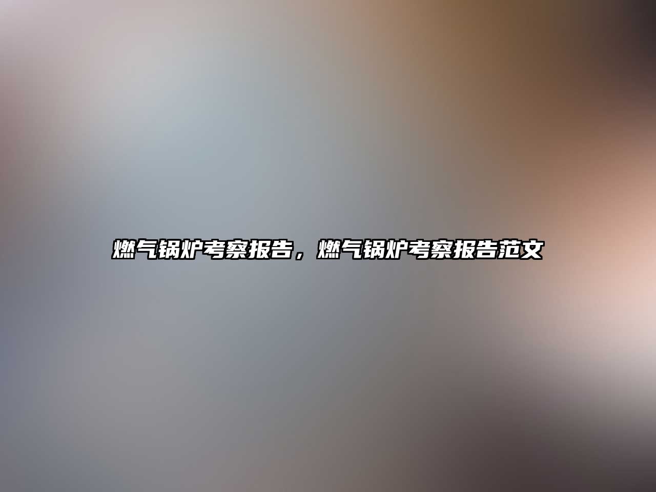 燃?xì)忮仩t考察報告，燃?xì)忮仩t考察報告范文