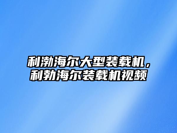 利渤海爾大型裝載機，利勃海爾裝載機視頻