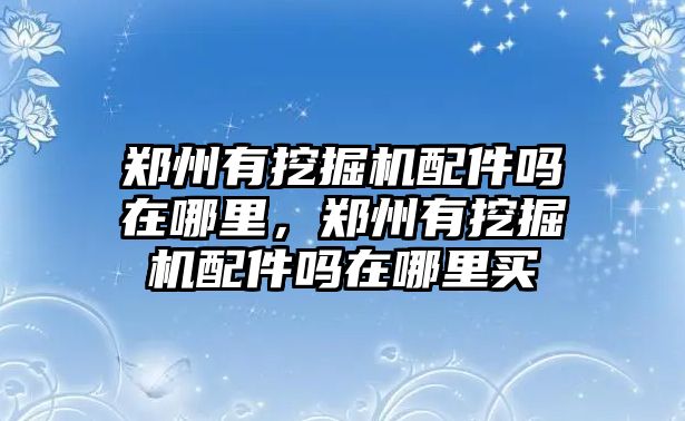 鄭州有挖掘機(jī)配件嗎在哪里，鄭州有挖掘機(jī)配件嗎在哪里買(mǎi)