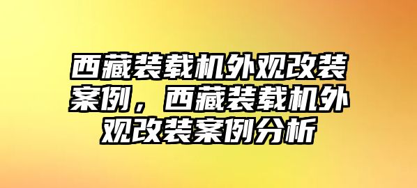 西藏裝載機外觀改裝案例，西藏裝載機外觀改裝案例分析