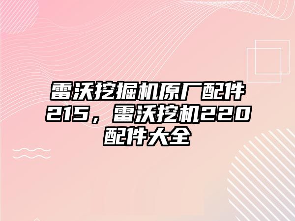 雷沃挖掘機(jī)原廠配件215，雷沃挖機(jī)220配件大全