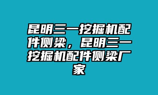 昆明三一挖掘機(jī)配件側(cè)梁，昆明三一挖掘機(jī)配件側(cè)梁廠家