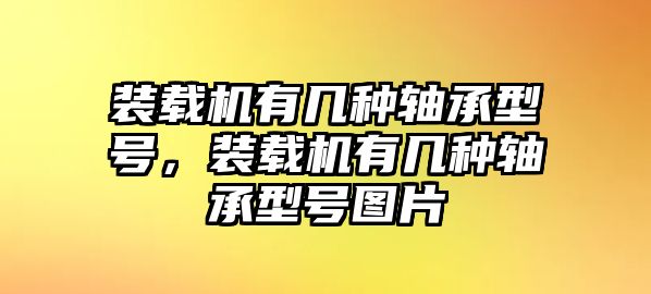 裝載機有幾種軸承型號，裝載機有幾種軸承型號圖片