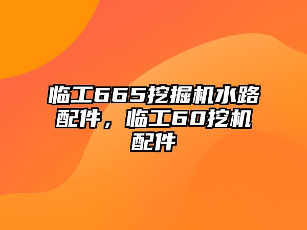 臨工665挖掘機(jī)水路配件，臨工60挖機(jī)配件