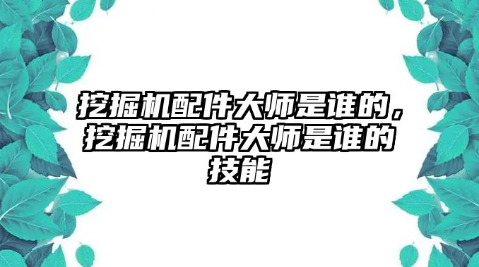 挖掘機(jī)配件大師是誰(shuí)的，挖掘機(jī)配件大師是誰(shuí)的技能