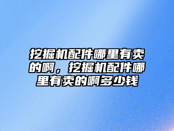 挖掘機配件哪里有賣的啊，挖掘機配件哪里有賣的啊多少錢